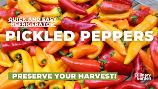 PICKLED SWEET PEPPERS Preserve your garden harvest in the fridge [upl. by Farnham877]