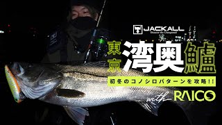 【JACKALL】RAICO 132Fで初冬の東京湾河川でシーバスを狙う by 久田 智司 [upl. by Daffie]