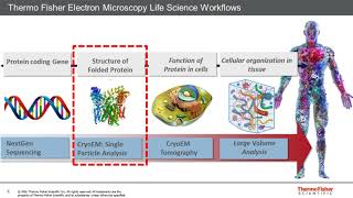 Cryo Electron Microscopy Revolutionizing the world of structural biology and healthcare [upl. by Trammel647]