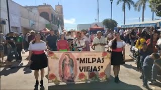 PEREGRINACIÓN DE MILPAS VIEJAS FESTEJO A LA VIRGEN DE GUADALUPE 12 DE DICIEMBRE 3023 [upl. by Ahsat624]