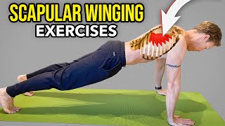 3 Exercises for Scapular Winging Serratus Anterior Muscle Strengthening [upl. by Claudian124]