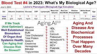 Quantifying Biological Age Blood Test 4 In 2023 [upl. by Ennovyhc858]