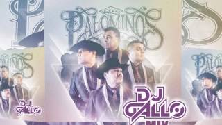 Palominos Mix Cumbias by DJ Gallo Matehuala [upl. by Frasco]