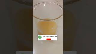 Extraction of pectin from orange peelorange peel extractionpharmacognosy lab [upl. by Jb197]