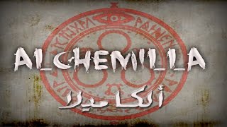 Silent Hill Alchemilla 4 تختيم سايلنت هيل ألكاميلا مترجم [upl. by Eylhsa]