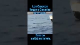 Los Cayucos llegan a Canarias sin motores [upl. by Emsmus]