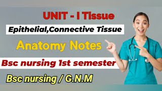 Tissues Notes part 1  Anatomy notes  bscnursing gnm nursingnotes tissue anatomy [upl. by Ruthe]