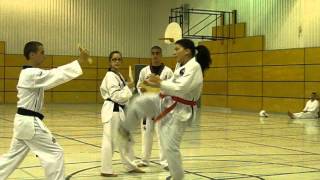 taekwondo  2e cassage Mona Bennaghmouch  ceinture rouge barre noire [upl. by Enelyad]