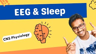 EEG  Electroencephalogram and Sleep [upl. by Tammany]