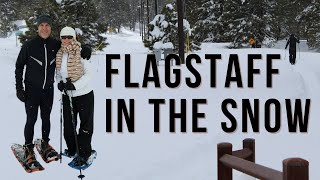 Top 8 Things to Do in Flagstaff When it Snows [upl. by Yesnikcm320]