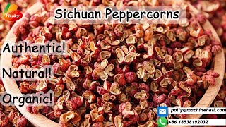 Authentic Sichuan Peppercorns Factory Price peppercorn [upl. by Wulf504]