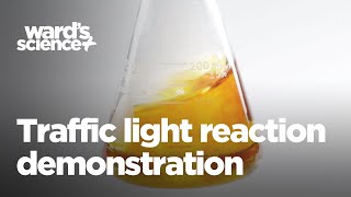 Wards Traffic Light Reaction Demonstration [upl. by Sparrow]