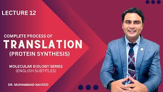 Translation  Protein Synthesis  Complete Process  tRNA  rRNA Lecture 12  Dr Muhammad Naveed [upl. by Eillac221]