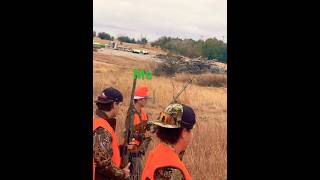 Kansas morning pheasant hunting hunting shotgunbird [upl. by Merrily]