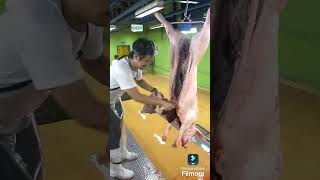 Daily routine as a Butcher at Naga City District Abattoir NCDA [upl. by Agee]