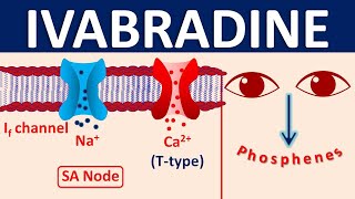 Ivabradine in Heart Failure  Mechanism side effects interactions amp uses [upl. by Aienahs443]