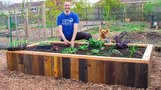 How to Build a RAISED BED Using PALLETS FREE Backyard Gardening [upl. by Domash765]