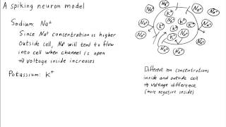 A simple spiking neuron model biological background [upl. by Arimihc]