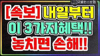 속보내일 부터 정부지원금 3가지 무조건 신청하세요 바우처 소상공인 전기요금감면 지원제도 [upl. by Onfroi]