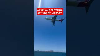 😁 AL Plane Spotting On Jet Skis At Sydney Airport Day For It plane planespotting sydney nsw [upl. by Reham]