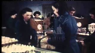 Ulster Egg Factory 1950  Film 95705 [upl. by Nazler]