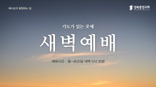 새벽예배 202488ㅣquot자기 보물고의 금은과 향품과 보배로운 기름quotㅣ김부기 목사 [upl. by Delogu]