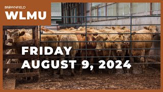 Cattle markets drop again this week  Weekly Livestock Market Update [upl. by Uwton]