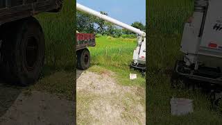 Kubota harvester in odisha video [upl. by Ellicott190]