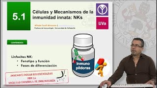 51 CÉLULAS Y MECANISMOS DE LA INMUNIDAD INNATA NKs [upl. by Aid]