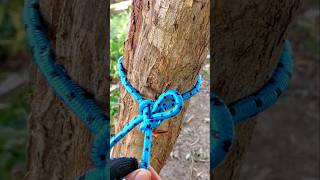 This way you can use to tie a hammock knotsknottutorial easyknot bestknots knotskill [upl. by Anilas]