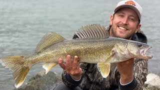 Allegheny River BIG WALLEYE BASS and TROUT [upl. by Etterual]