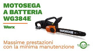 MOTOSEGA A BATTERIA WG384E di Worx [upl. by Cord]