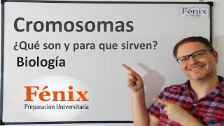 Cromosomas ¿Qué son y para qué sirven [upl. by Rissa]