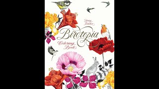 Flip Through Birdtopia Coloring Book by Daisy Fletcher [upl. by Eoz]