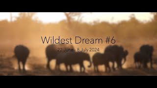 Wildest Dream 6  Okavango Delta 2024 [upl. by Akinet612]