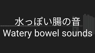 お腹の音Rumbling stomach体調不良時の水っぽい腸の音Watery bowel sounds when unwell [upl. by Borman]