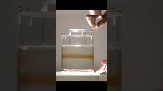 Laminar Flow ytshorts viral [upl. by Anitsim]