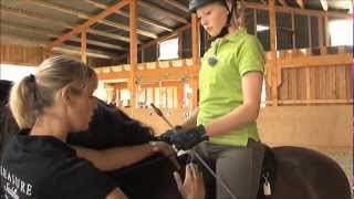 Sattelanpassung 2  Kontrolle der Funktion des Sattels beim Reiten  ChampionRider Pleasure Saddles [upl. by Anidal927]