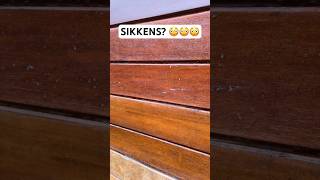 Update 1 Outdoor Wood Finishes Experiment woodfinishes woodworking diy [upl. by Ggerc]