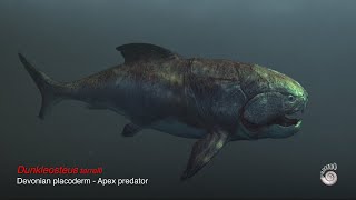 Dunkleosteus terrelli  Apex predator  Giant Devonian placoderm [upl. by Eitsirhc]