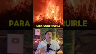 Destruyen selva mexicana para construir casas para extranjeros viral shorts noticiasmexico [upl. by Mcgill763]