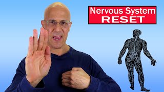 Reset Your Nervous System in 30 Seconds  Dr Alan Mandell DC [upl. by Euqinemod]