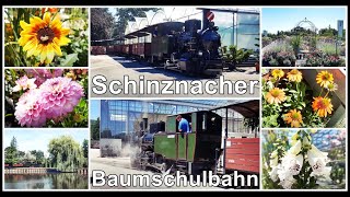 Schinznacher Baumschulbahn Baumschule Zulauf Dampflokomotive Molly Kanton Aargau Schweiz 2020 [upl. by Lleder895]