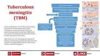 Tuberculous meningitis TBM [upl. by Yreffej]