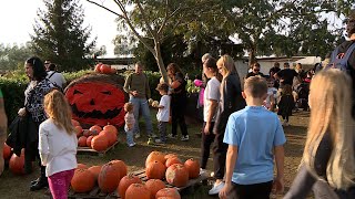 Tutti pazzi per le zucche e il giardino di Halloween [upl. by Merideth]