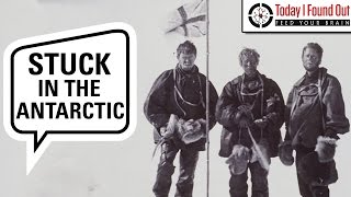 The Amazing Story of Douglas Mawsons 300 Mile Antarctic Trek [upl. by Noskcire]