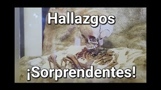 Hallazgos ¡Sorprendentes [upl. by Nnylaf702]