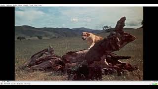 old yeller music dvd D VLC media player 2024 11 11 00 59 55 [upl. by Eetnom75]