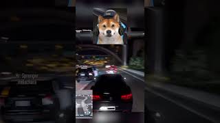 Sprenger ist Blind csyon gtarp roleplay rlo gta gaming gta5 funny fivem csyon [upl. by Etnuad]