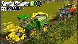 FS17  SELBY FARM 1  Gros ensilage pour attaquer  🌽 [upl. by Trbor]